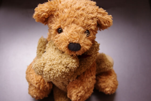 重くて大きいぬいぐるみは、宅配クリーニングが便利